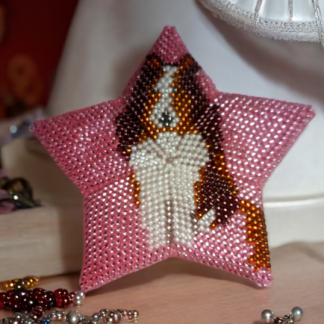 Anleitung - Stern Colli