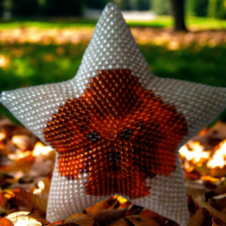 Anleitung - Stern Pudel Else