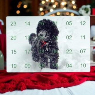 Online-Adventskalender 2025