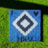 Feuerzeughülle I love HSV
